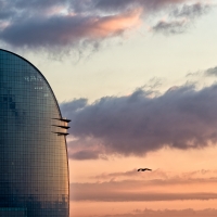 Seagull Sunrise, #3, Barcelona, 2015