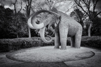 El Mamut, Ciutadella, Barcelona, 2021