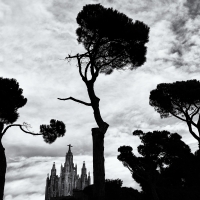 Temple Expiatori del Sagrat Cor, #2, Barcelona, 2014