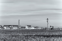 Former Bald Eagle Habitat, Colorado, 2016