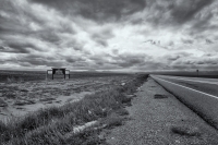 Highlands Prairie, Colorado, 2015