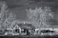 Homestead Surrenders to Suburbia, Colorado, 2016