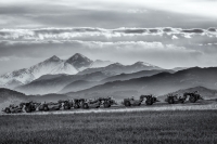 Machines At Rest, Colorado, 2016