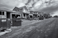 Particle Board Faces on Redbud Circle, Colorado, 2016