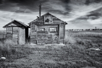 The Old Basketball Court Colorado, 2016