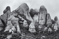 La Prenyada, L'Elefant, La Momia, i La Momieta, Montserrat, Catalunya, 2024