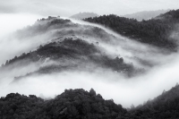 Montserrat Morning, #3, Catalunya, 2025