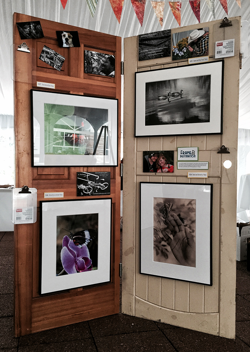 Auction Photography Display. Boulder, Colorado, 2015 The Photography